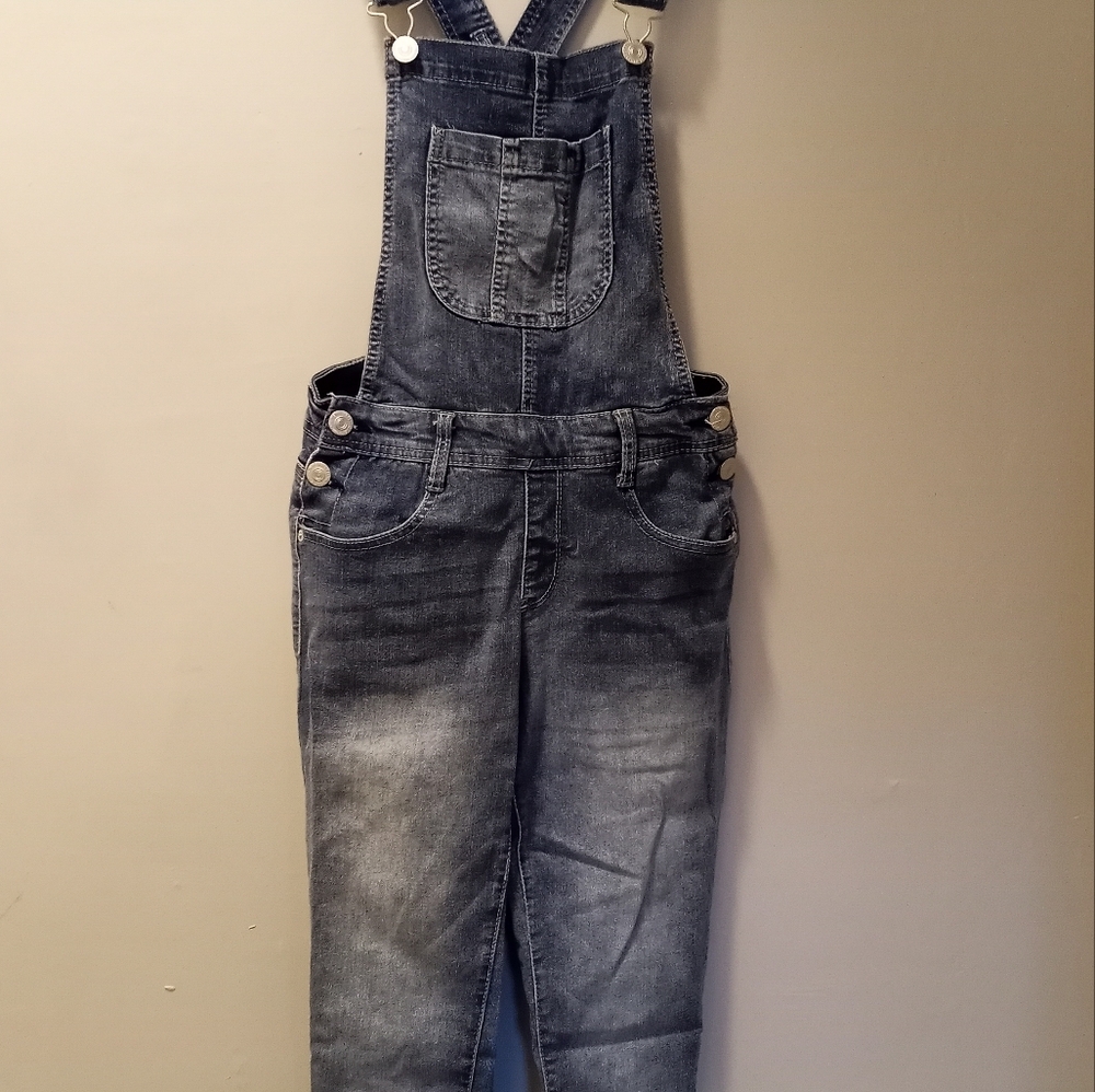 Lady's Vintage Overalls ~